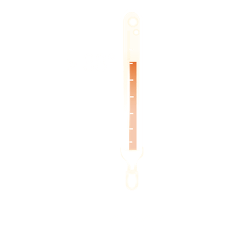 Grafik: Auswirkungen einer FSME: Fieber