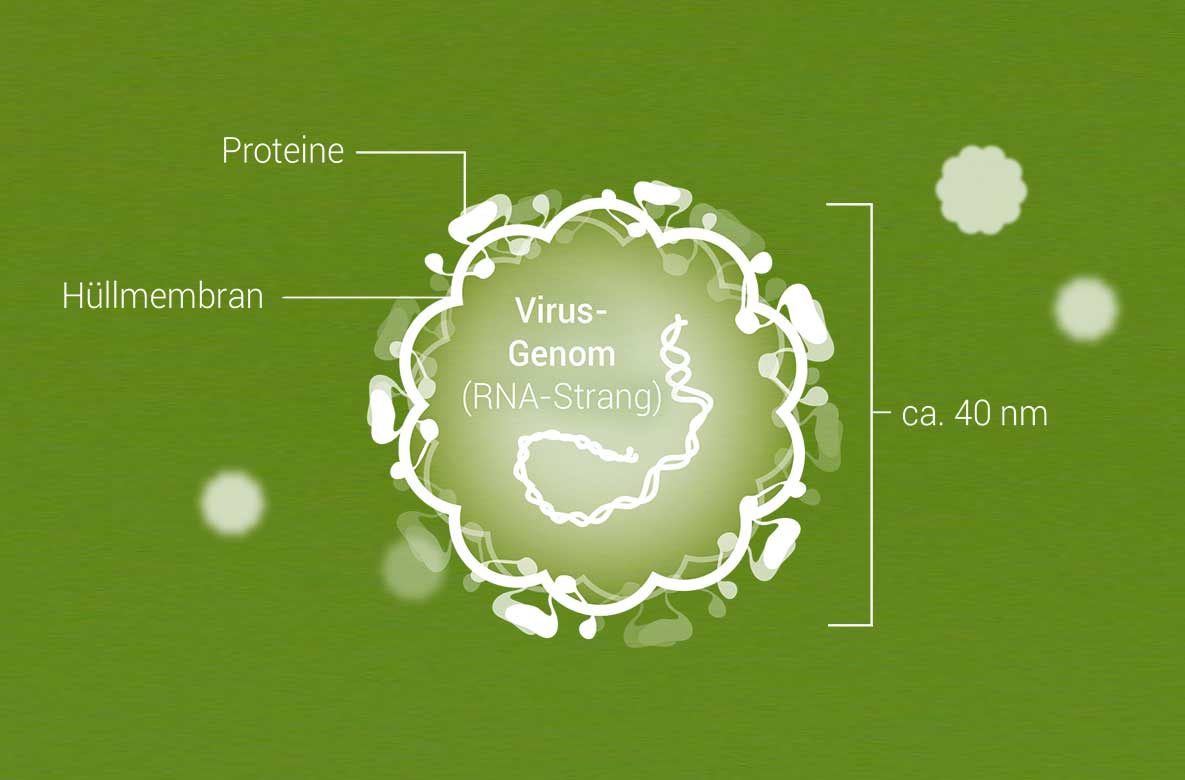 FSME Impfung So Lauten Die Offiziellen Empfehlungen FSME Impfung So Lauten Die Offiziellen Empfehlungen